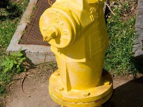 Fire hydrants and trucks are both yellow in Hawaii.jpg